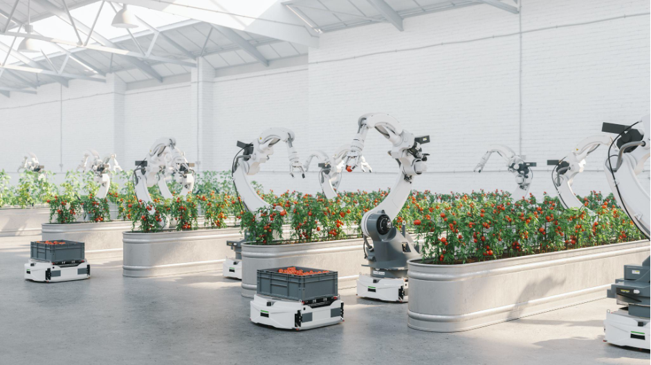 Delox – 2019 Second Prize in Innovation, Portugal
